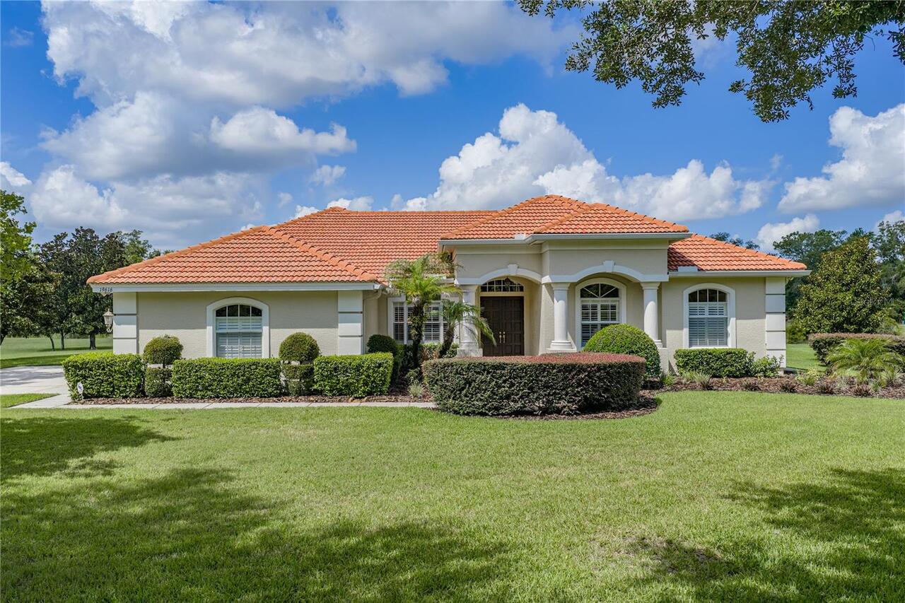 Lutz Real Estate