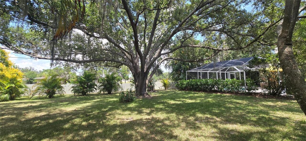 Listing Photo 32