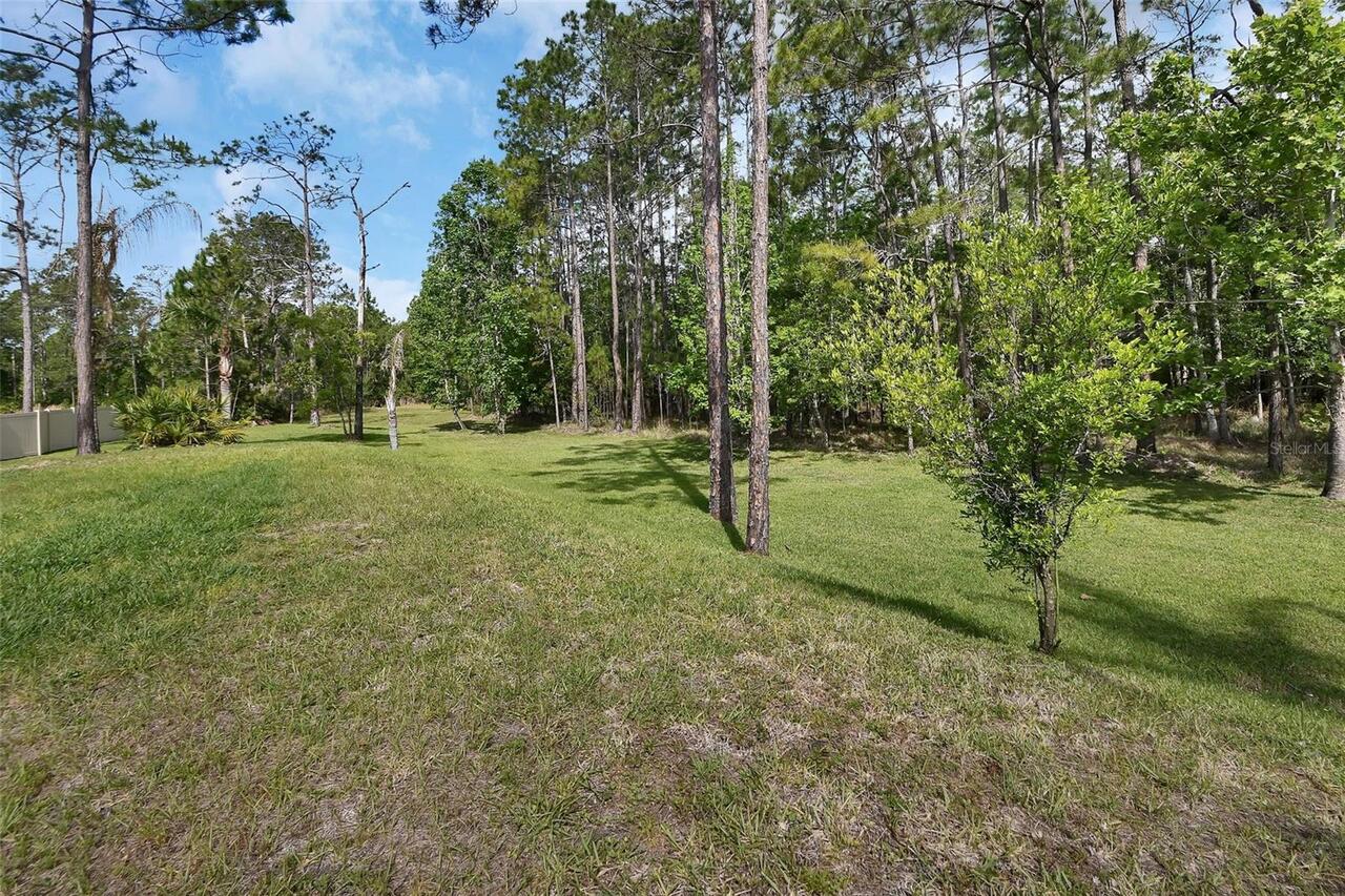 Listing Photo 56