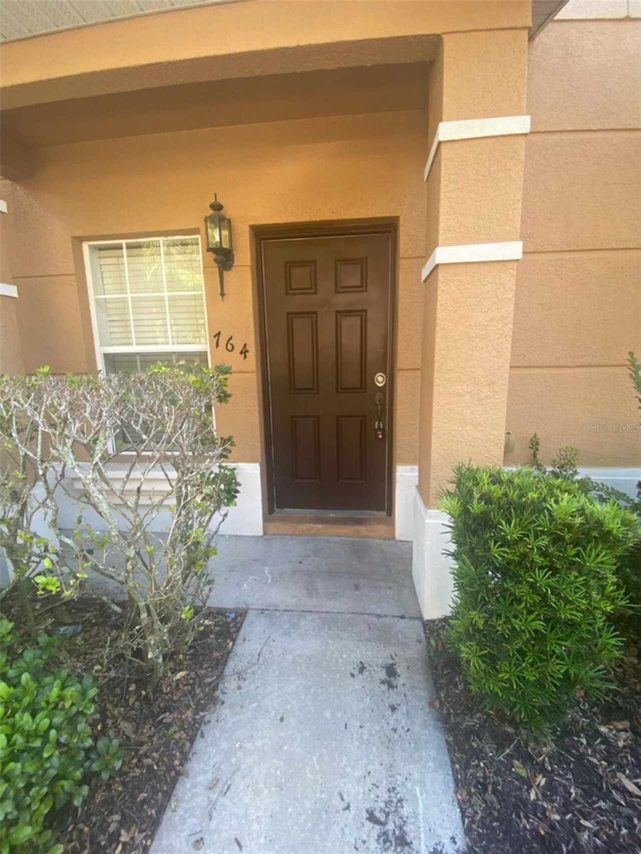Davenport Real Estate