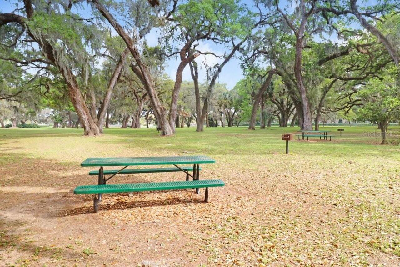Listing Photo 67