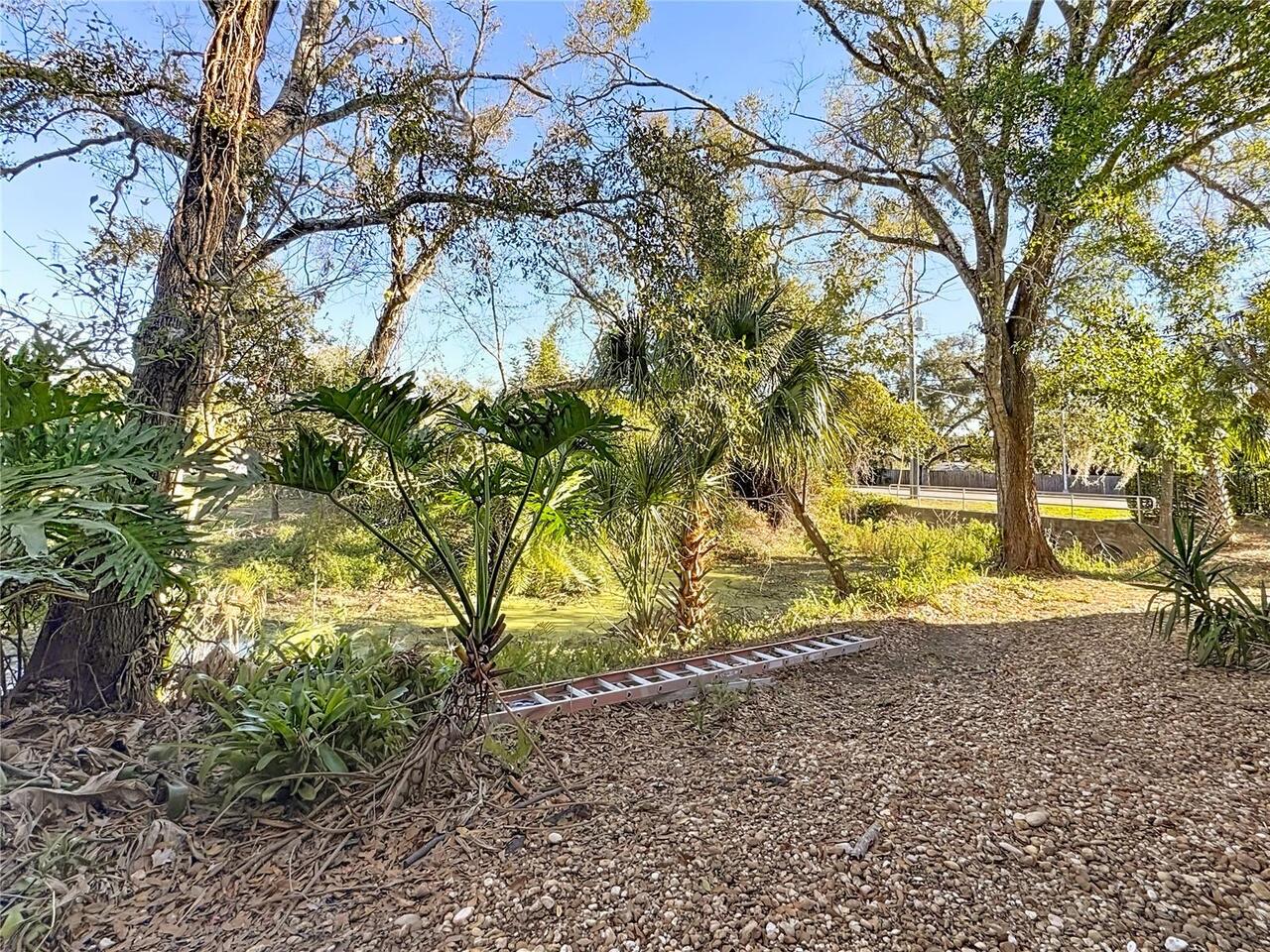 Listing Photo 39