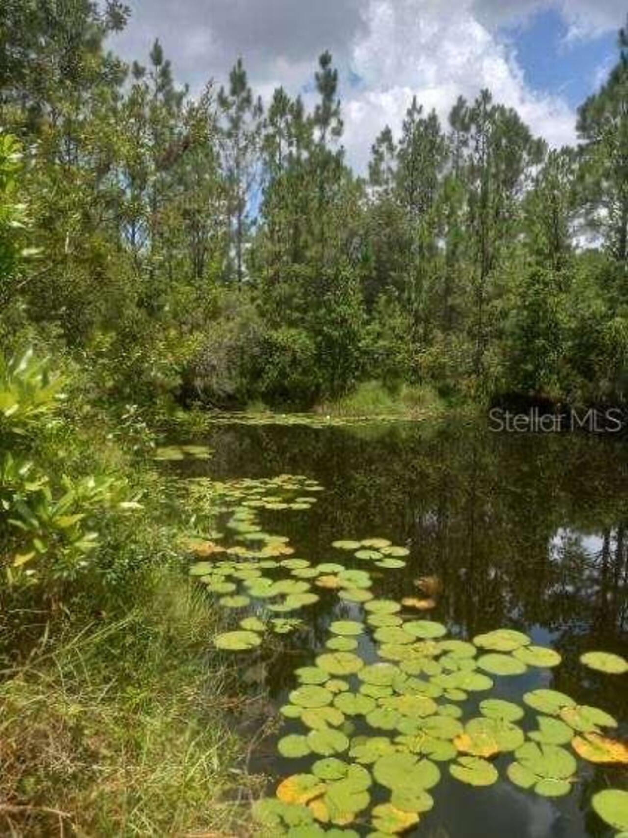 Listing Photo 55
