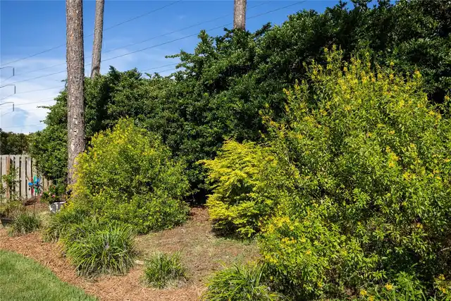Listing Photo 41