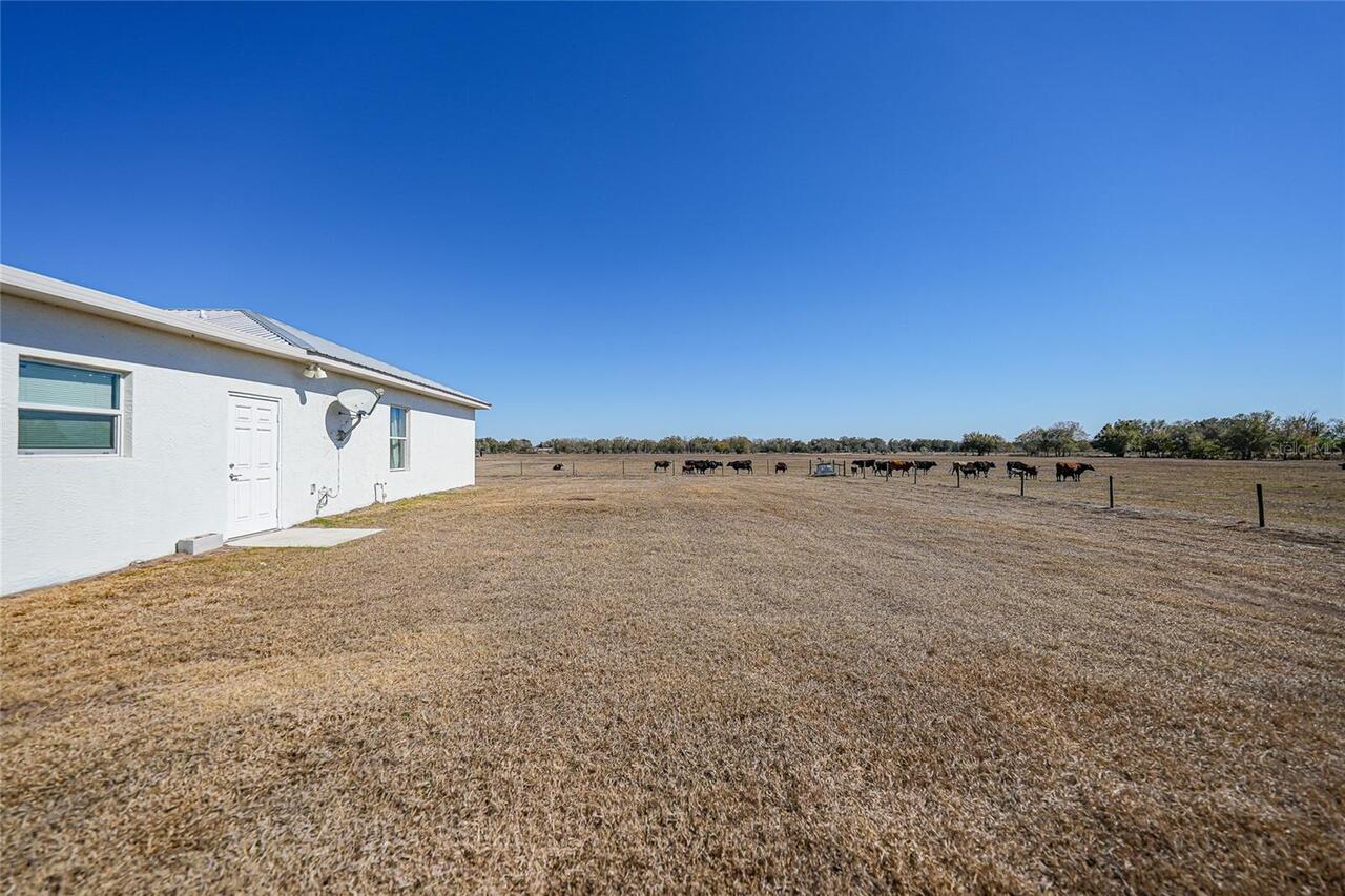 Listing Photo 42