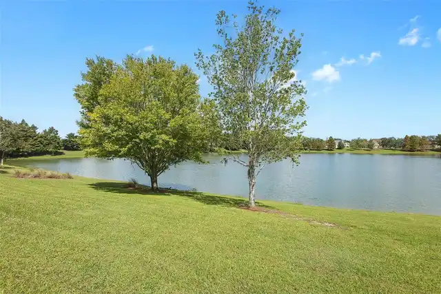 Listing Photo 51