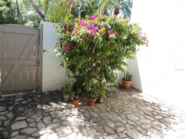 Listing Photo 20