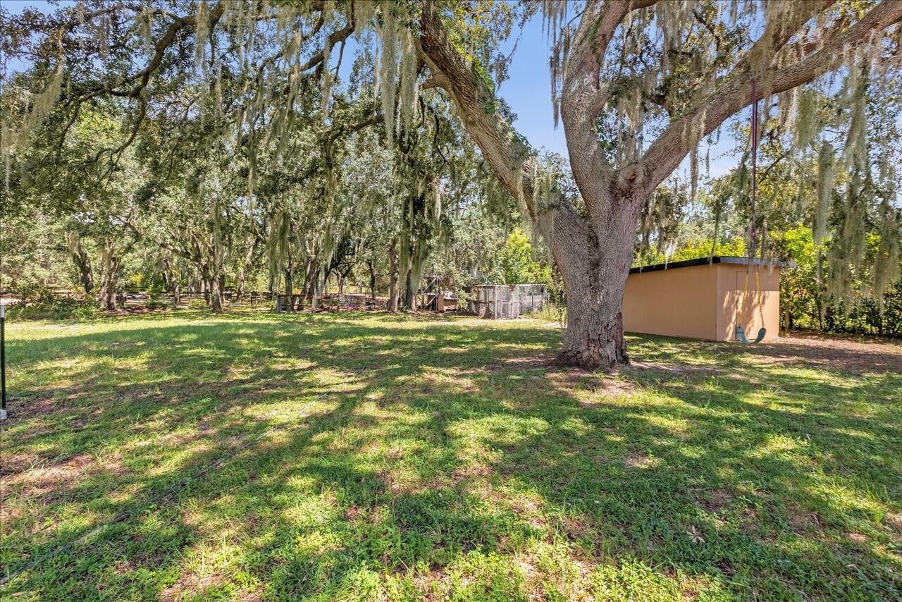 Listing Photo 31
