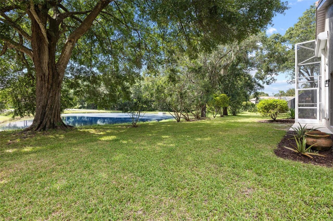 Listing Photo 58