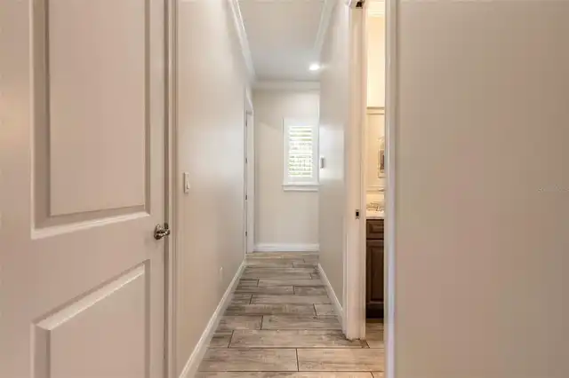 Listing Photo 54