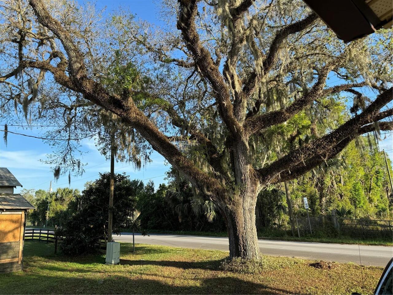 Listing Photo 23