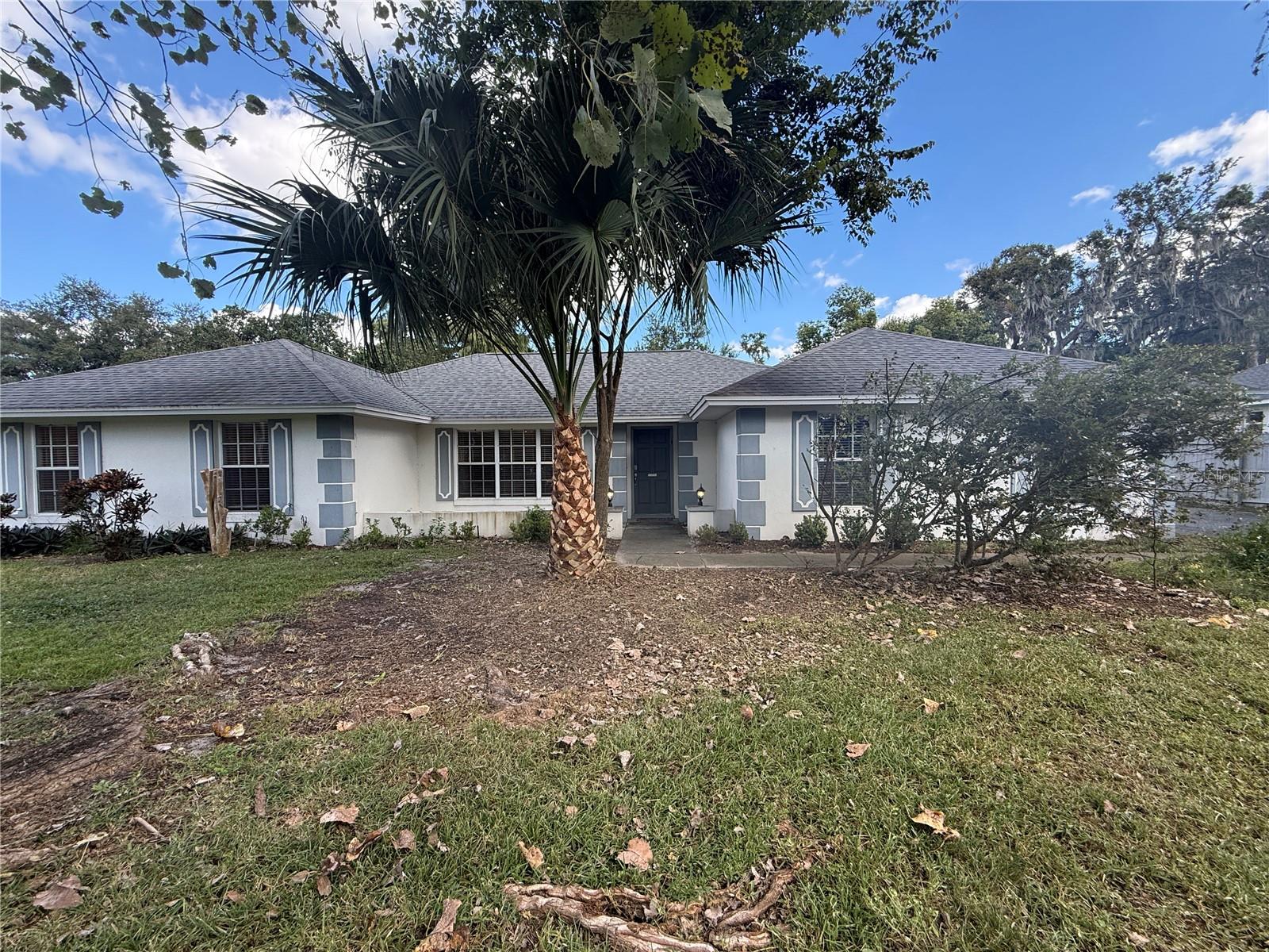 Mount Dora Real Estate