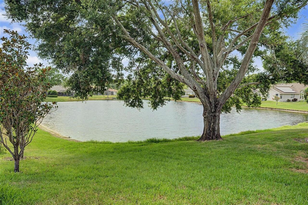 Listing Photo 53