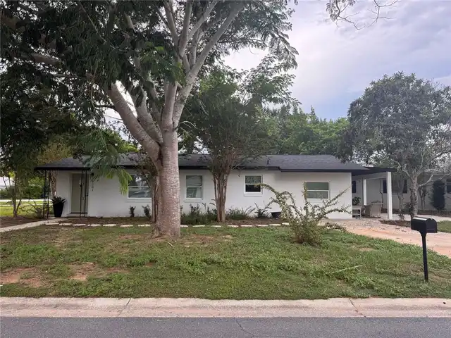 Tavares Real Estate