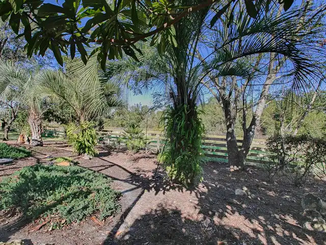 Listing Photo 38
