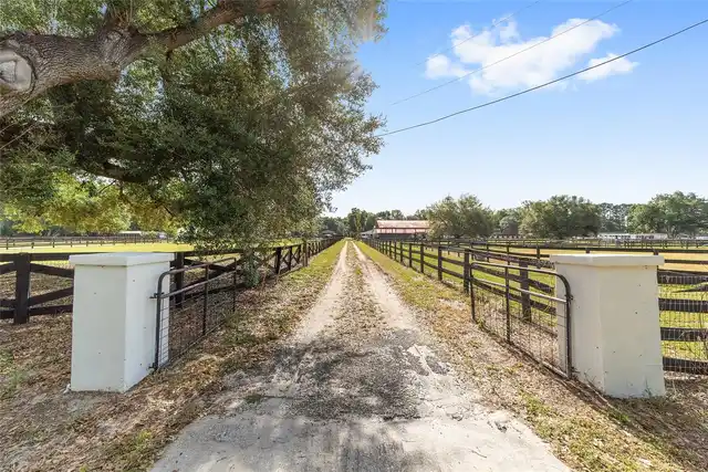 Listing Photo 76
