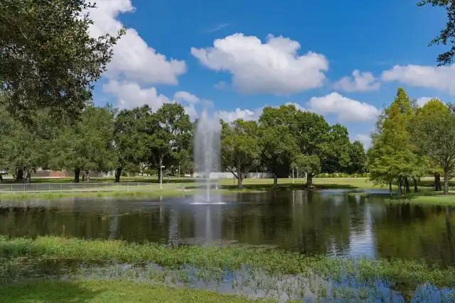 Listing Photo 61