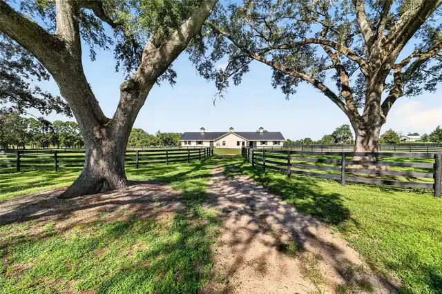 Listing Photo 75