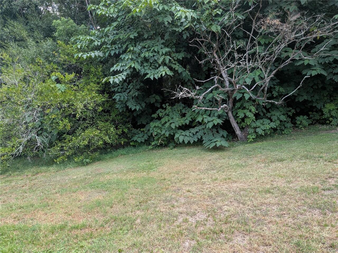 Listing Photo 12