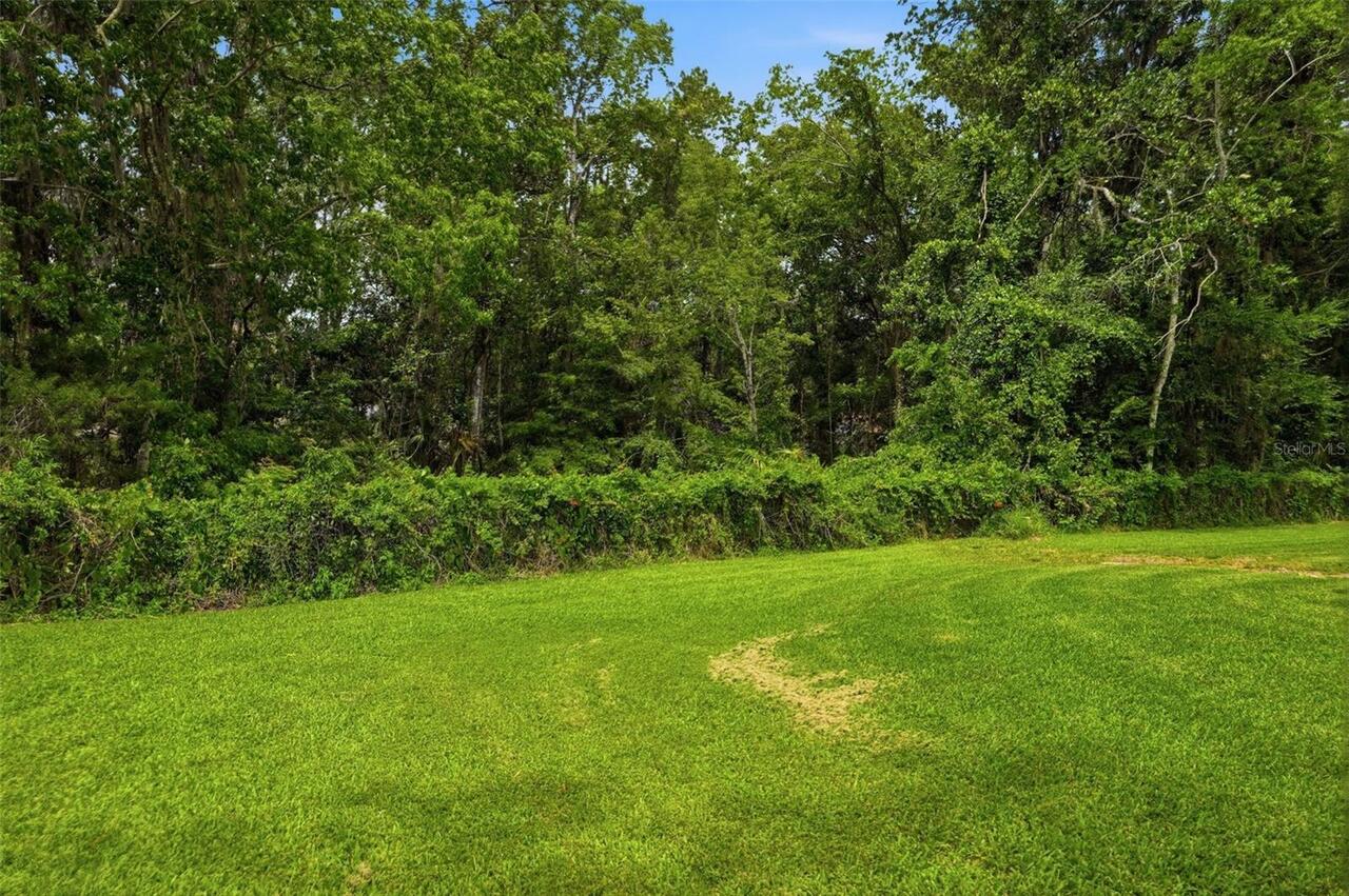 Listing Photo 52