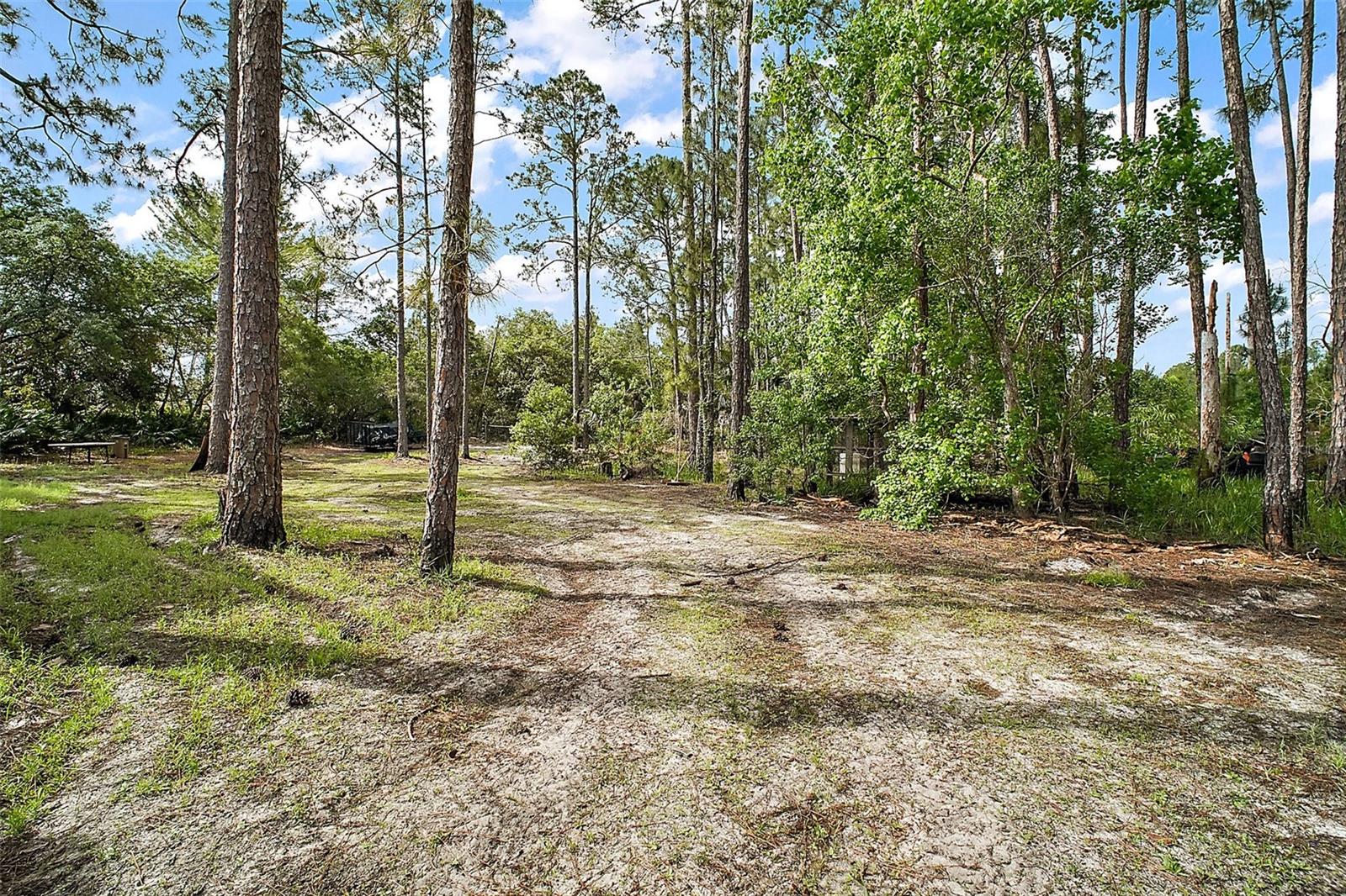 Listing Photo 29