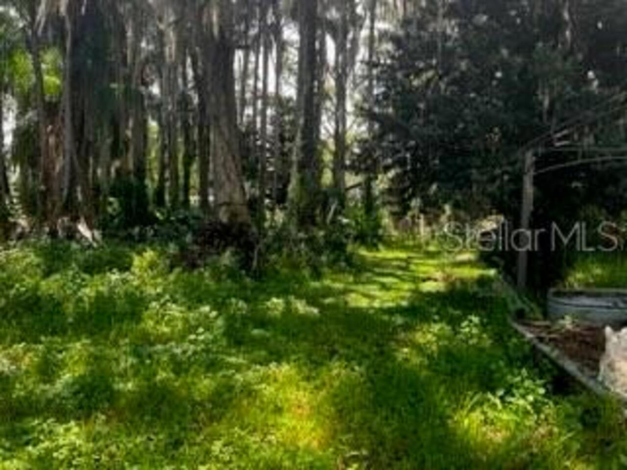 Listing Photo 13