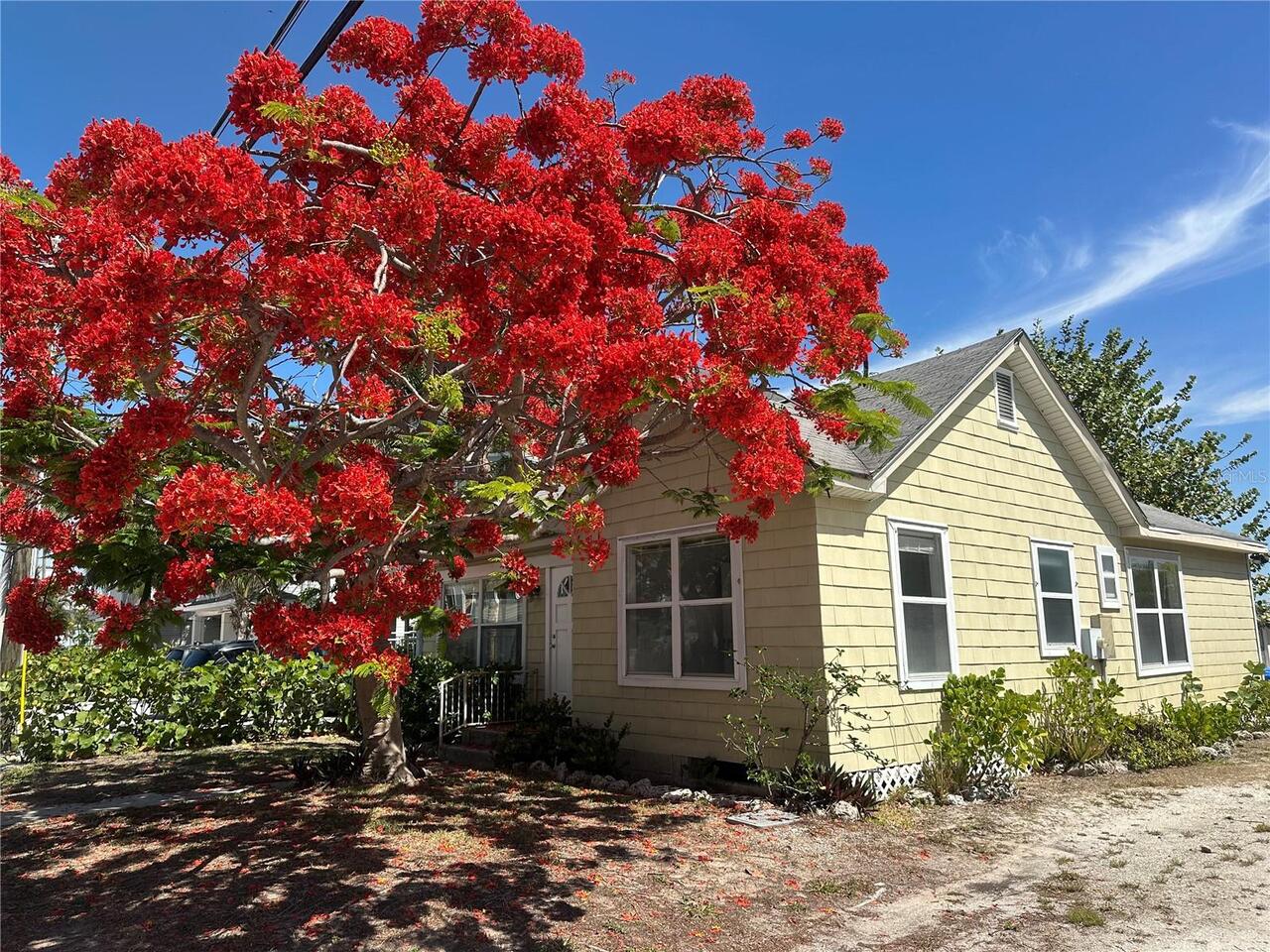 Treasure Island Real Estate