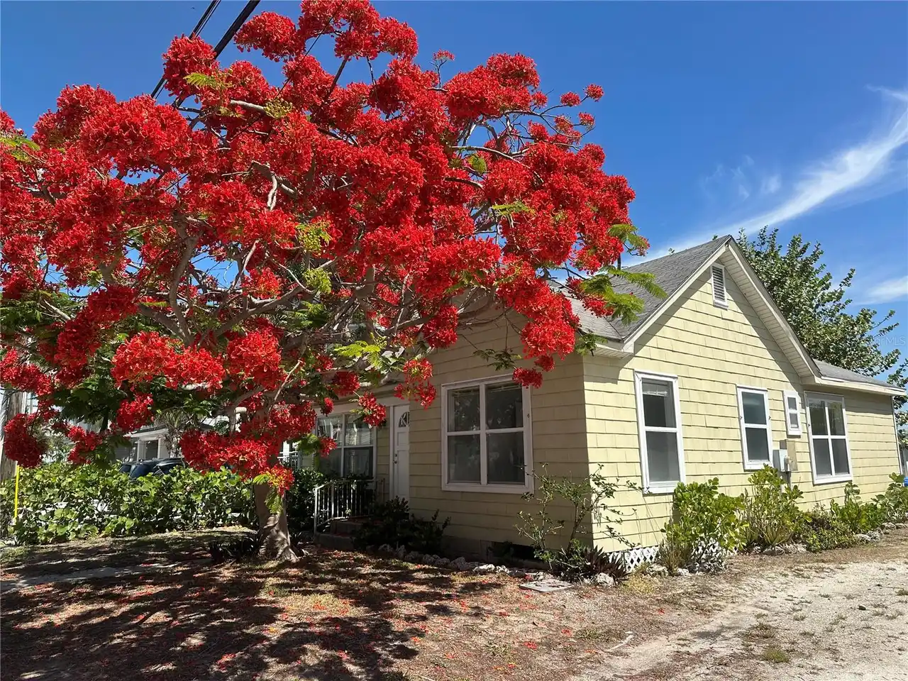 View Listing