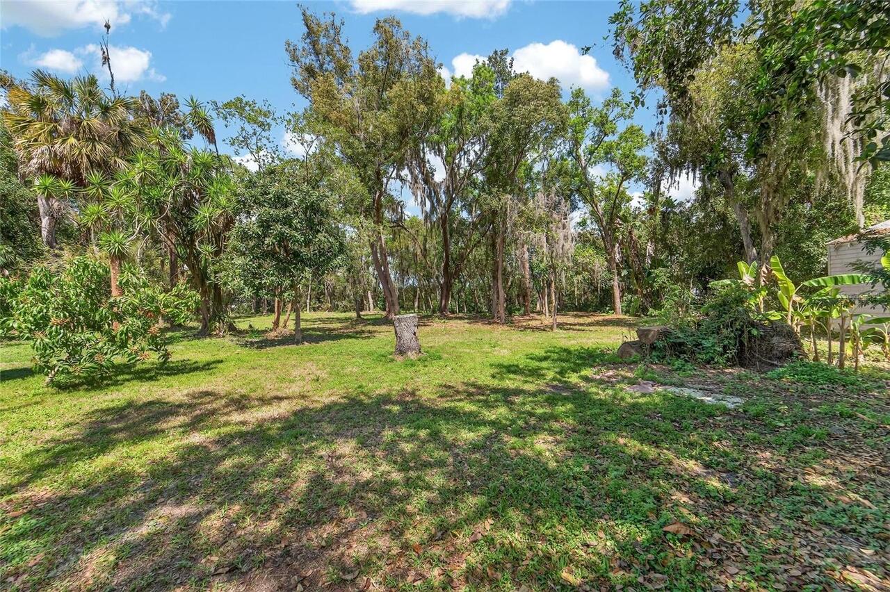 Listing Photo 42