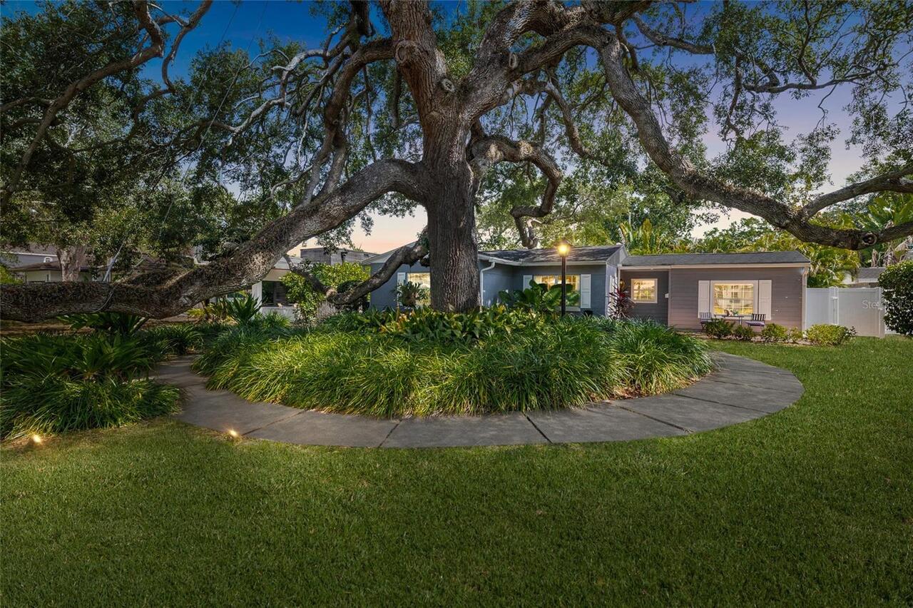 Tampa Real Estate