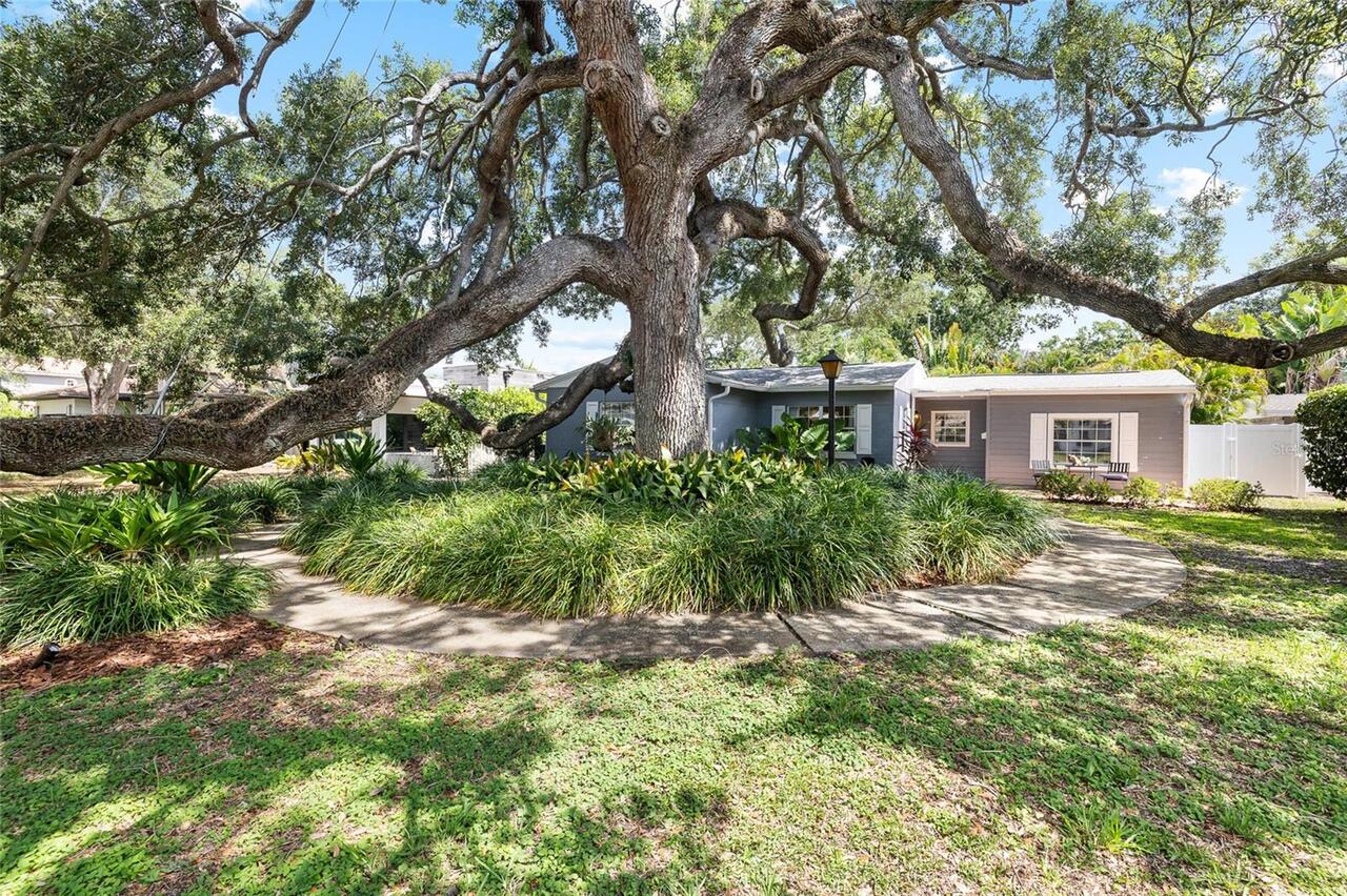 Listing Photo 43