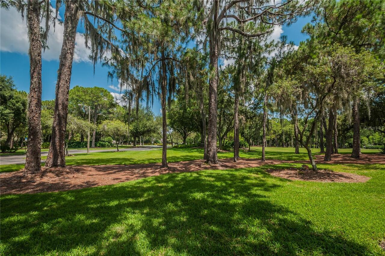 Listing Photo 82