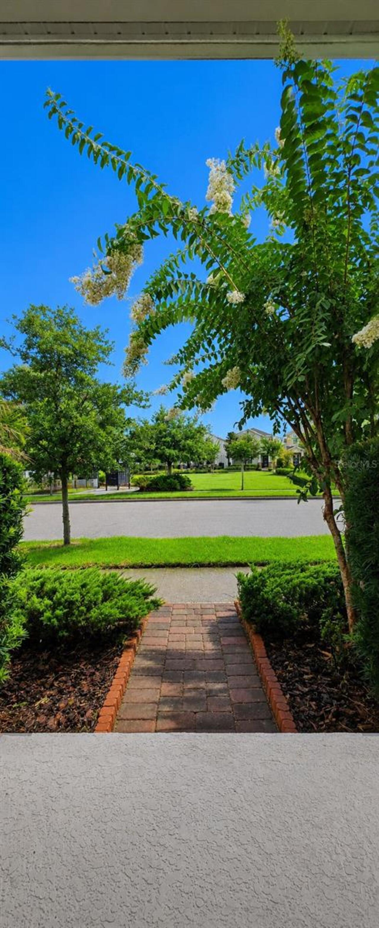 Listing Photo 22