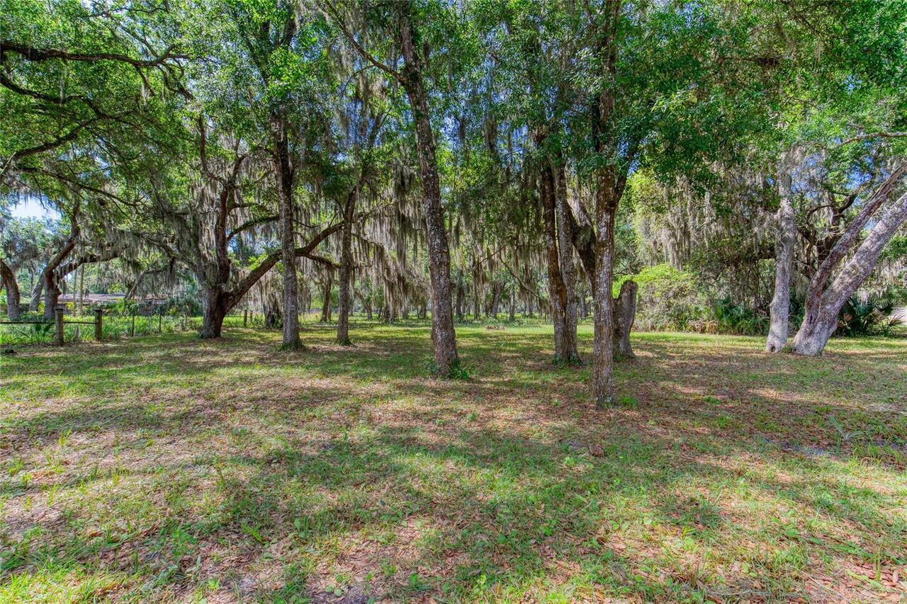 Listing Photo 69
