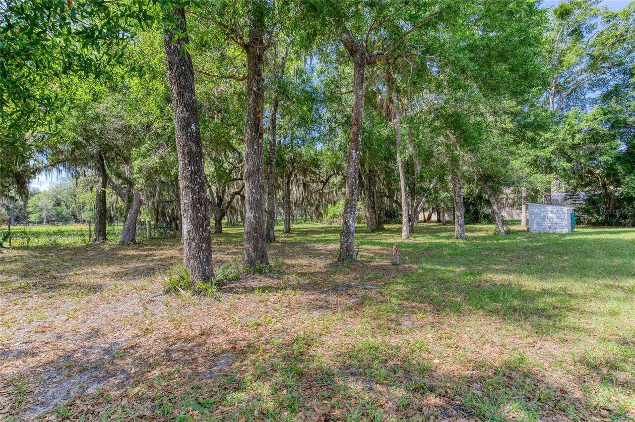 Listing Photo 73