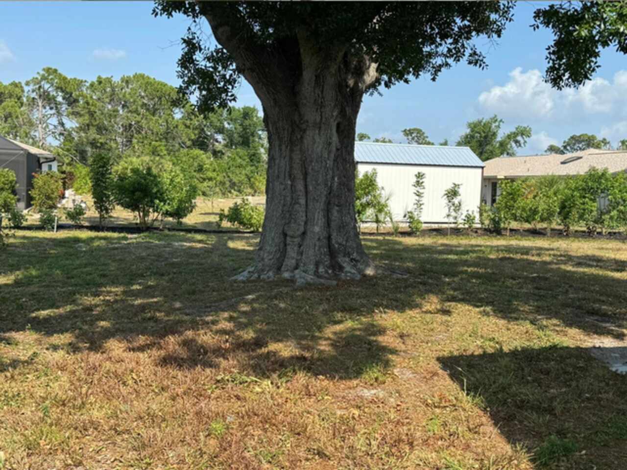 Listing Photo 19