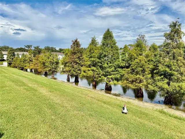 Listing Photo 20