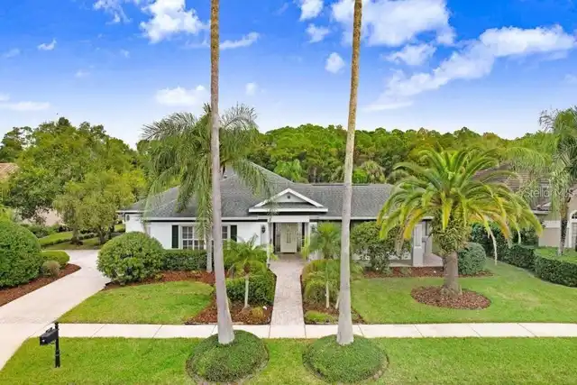 Tampa Real Estate