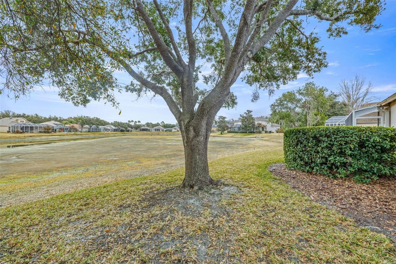 Listing Photo 34