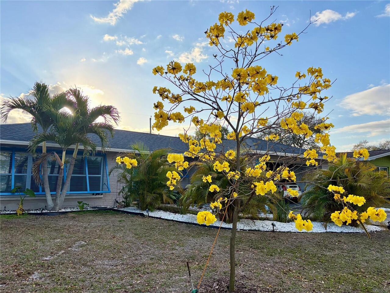 Listing Photo 42