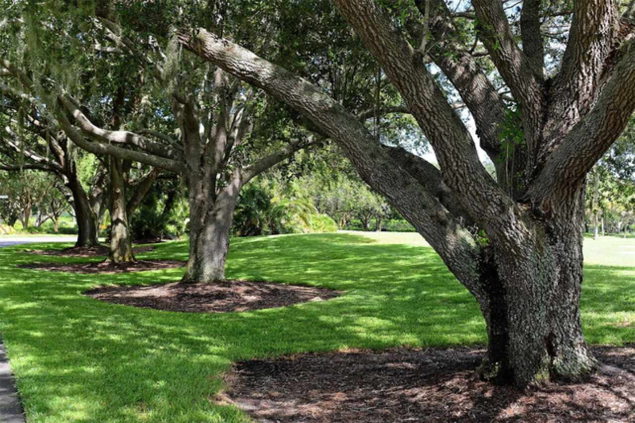 Listing Photo 92
