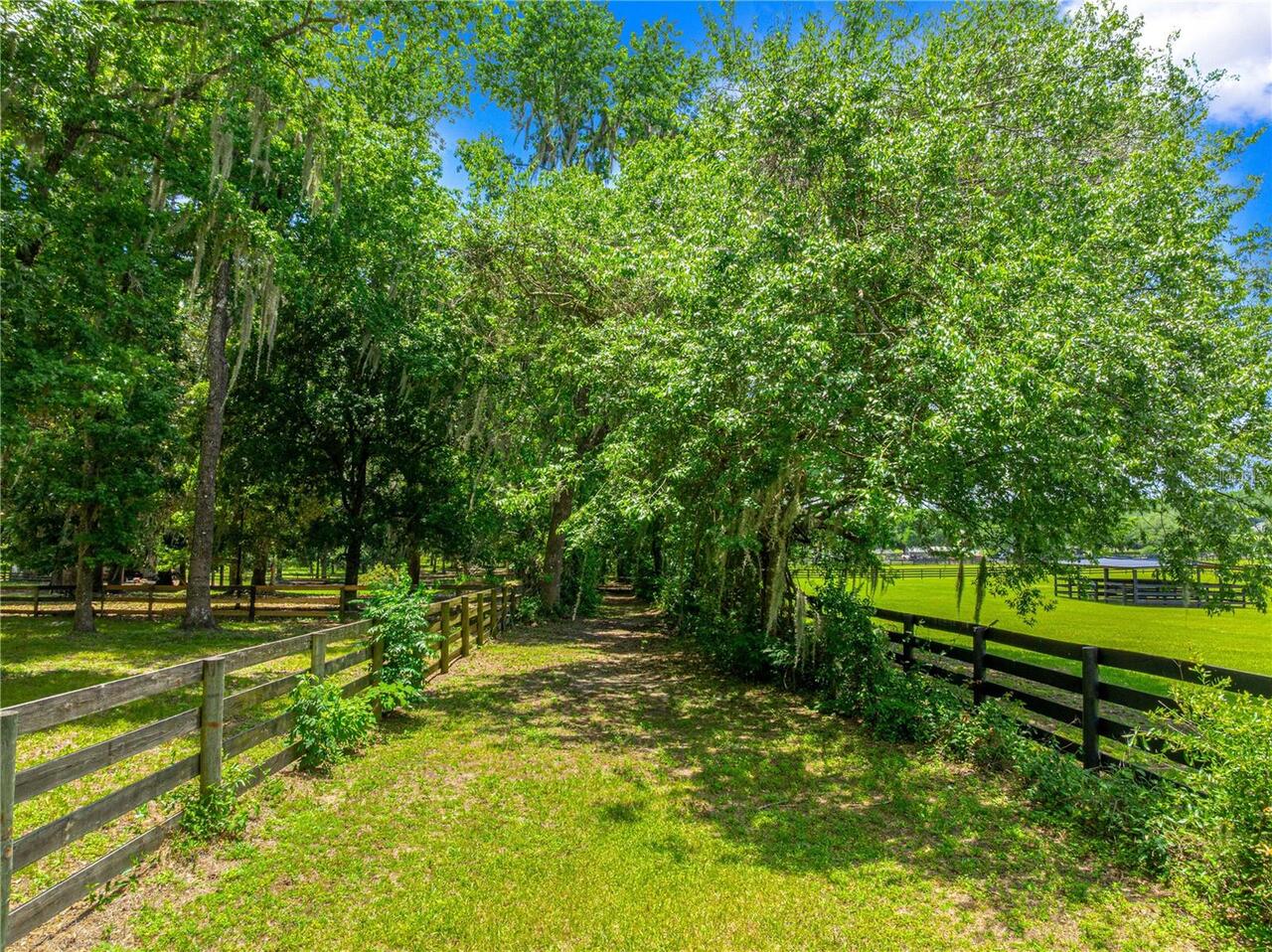 Listing Photo 82