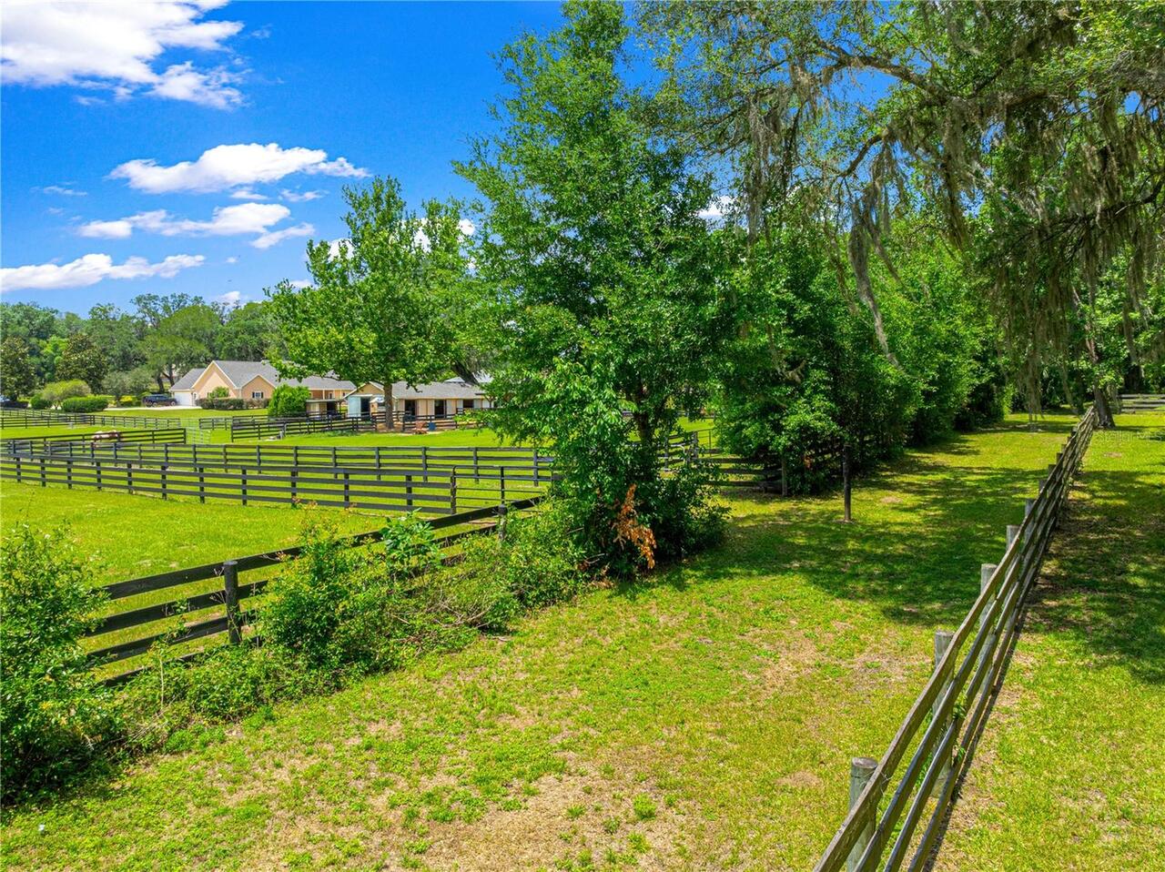 Listing Photo 83