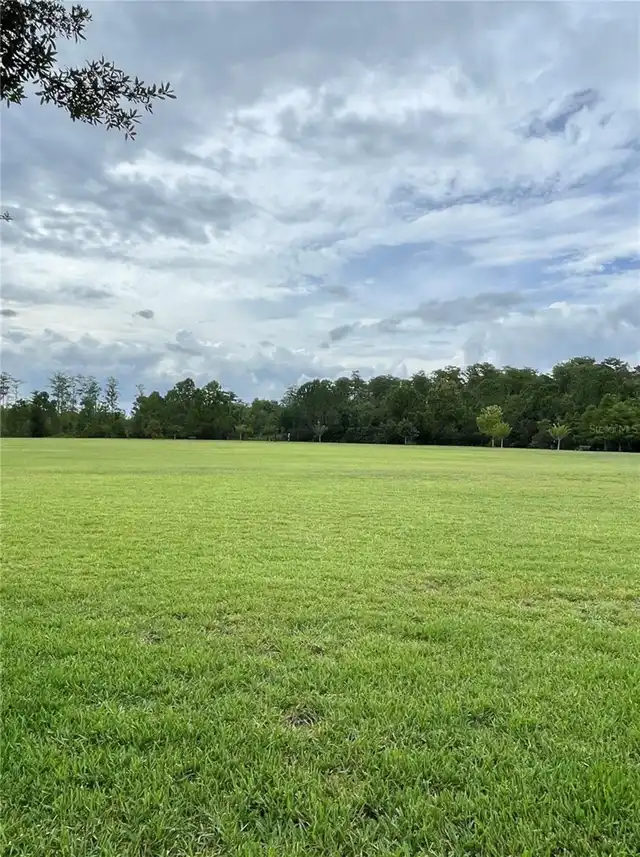 Listing Photo 41
