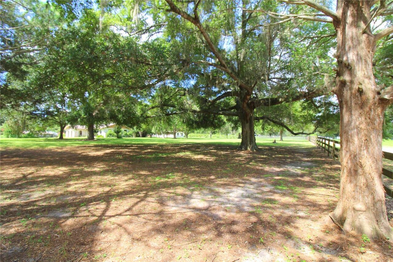 Listing Photo 35