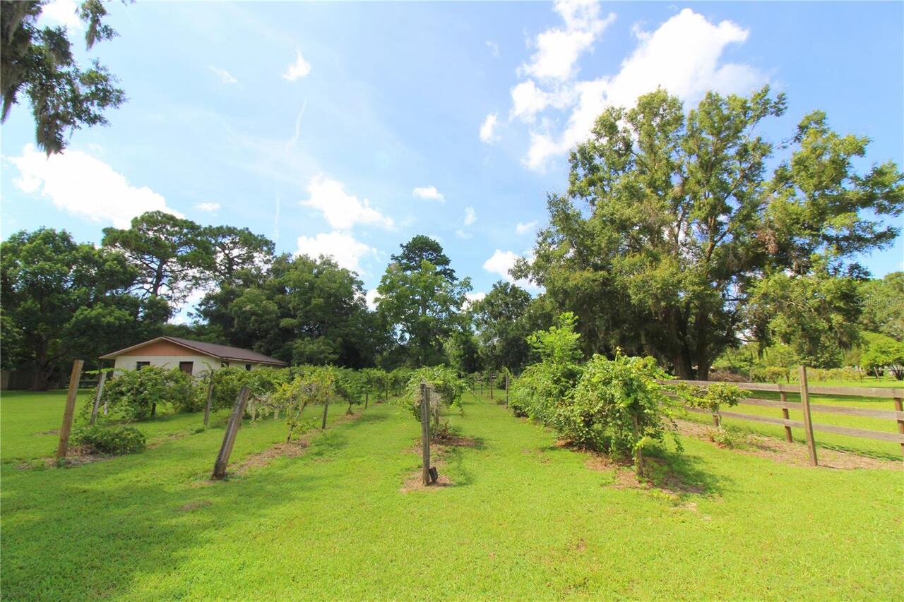 Listing Photo 40