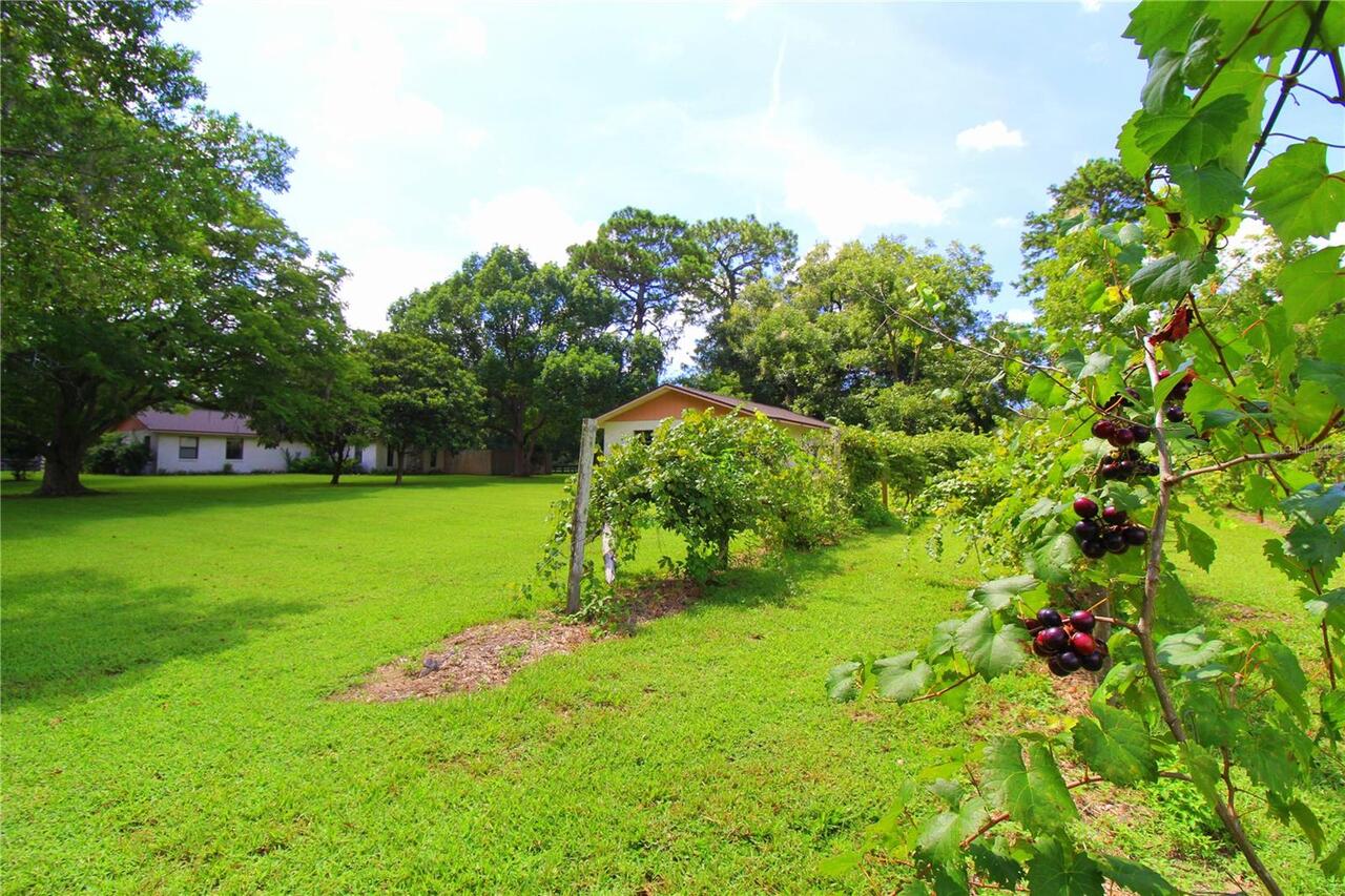 Listing Photo 41