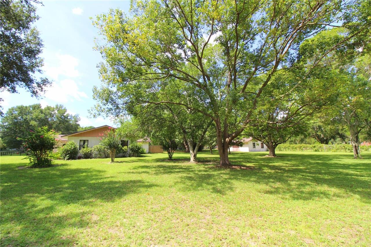 Listing Photo 42