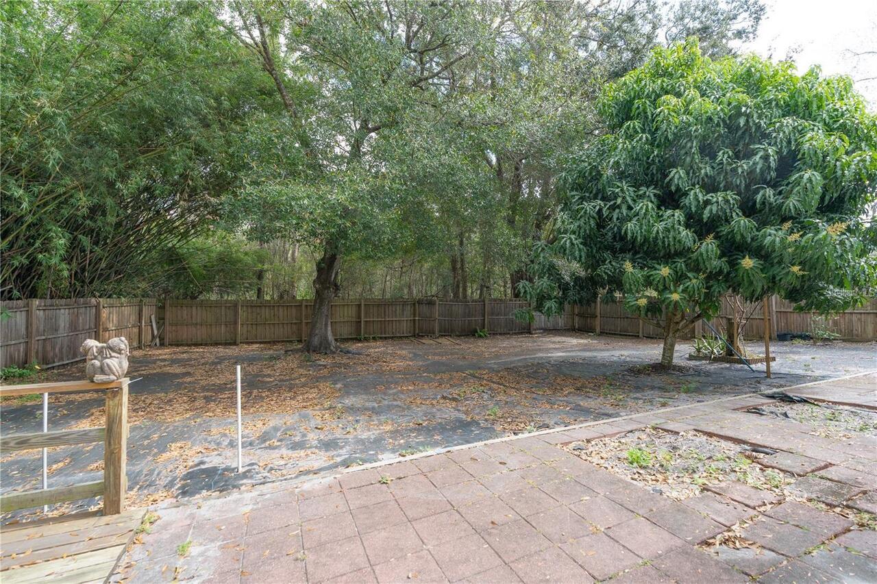 Listing Photo 23