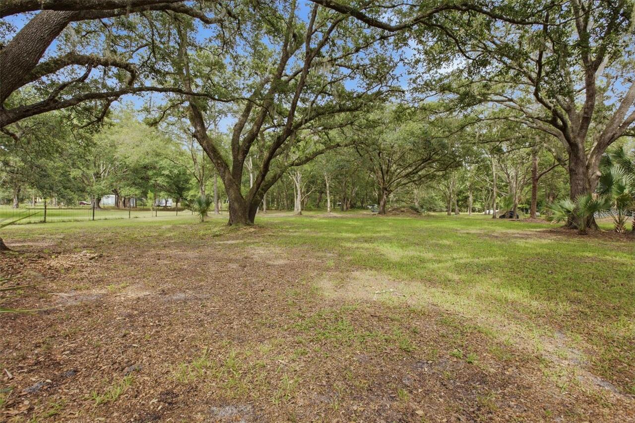 Listing Photo 25